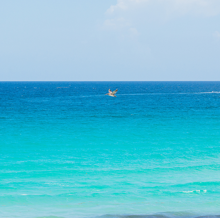 DESTINO TURISTICO PLAYA DELFINES
